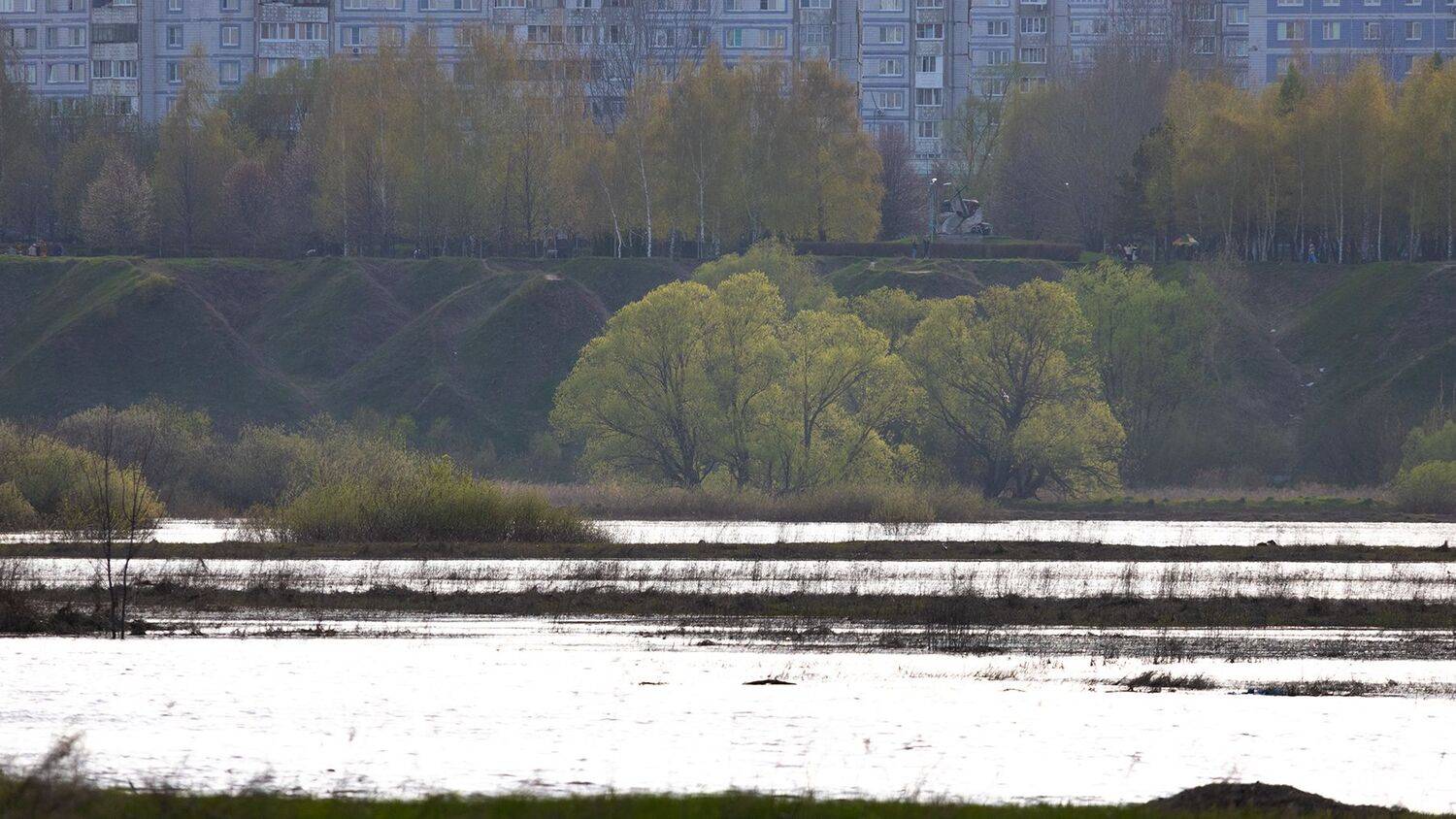 , Чудинин Дмитрий