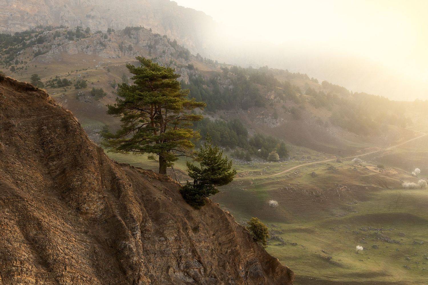 , Алексей Гурьев