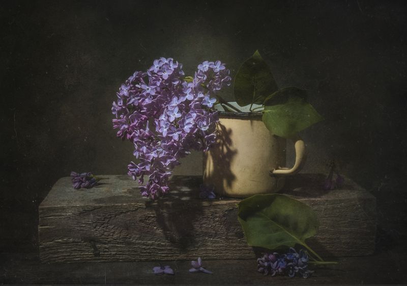 Сиренька фото превью