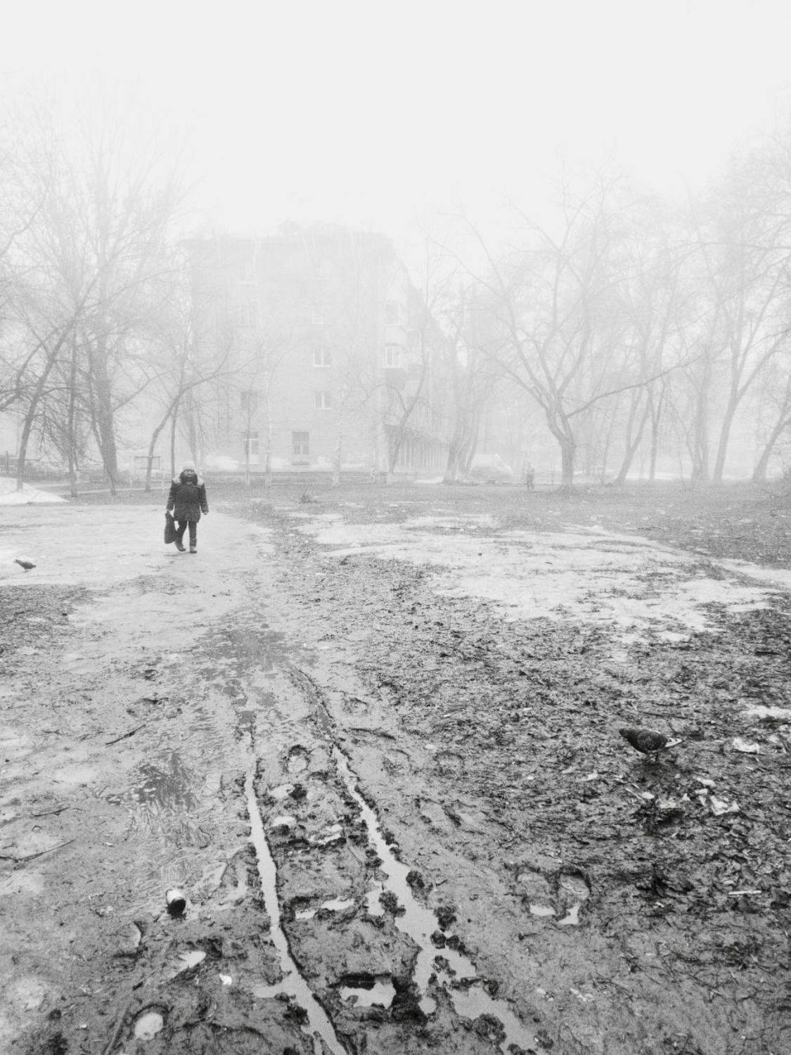 туман, весна, Андрей Ларионов