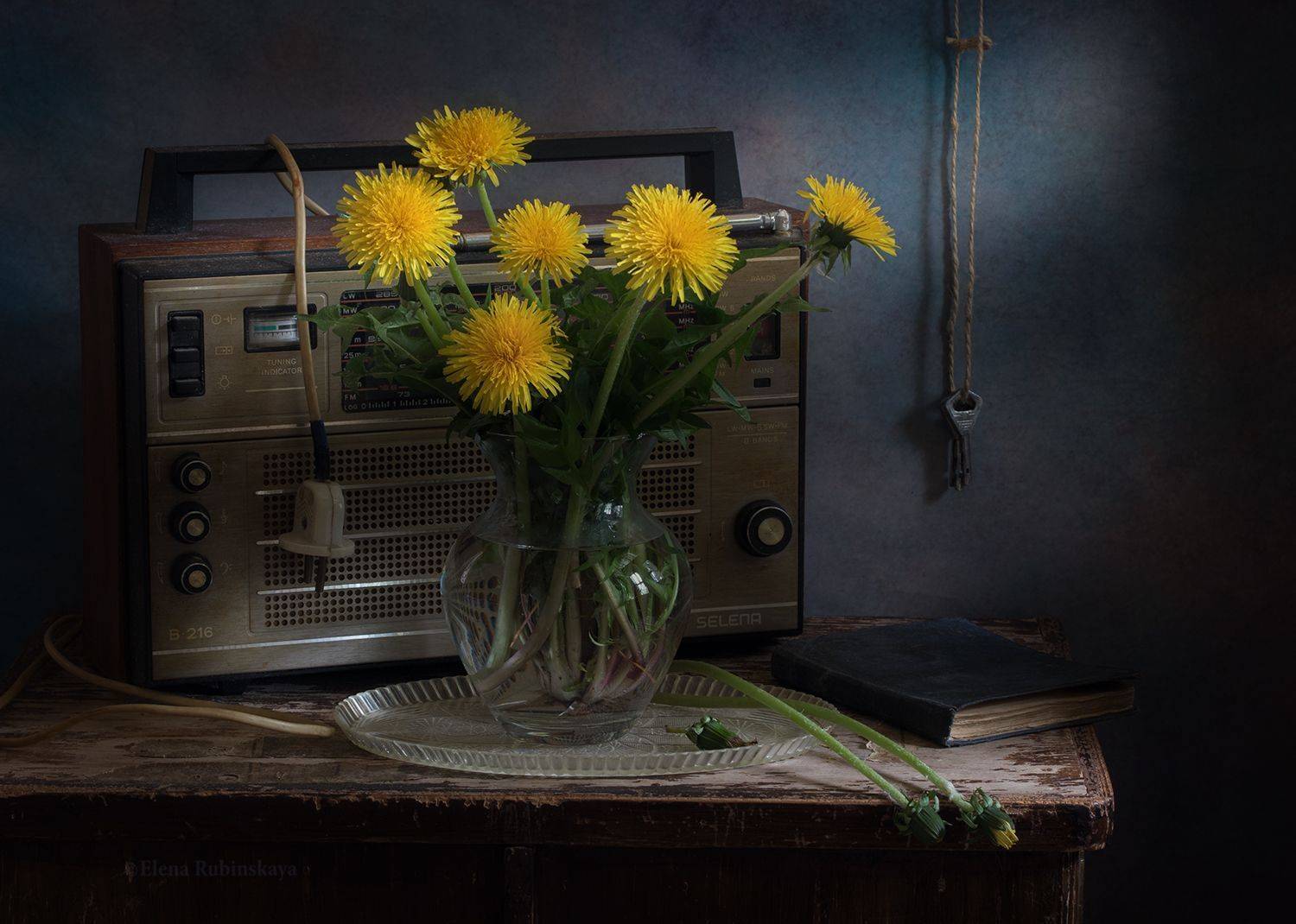 , Елена Рубинская