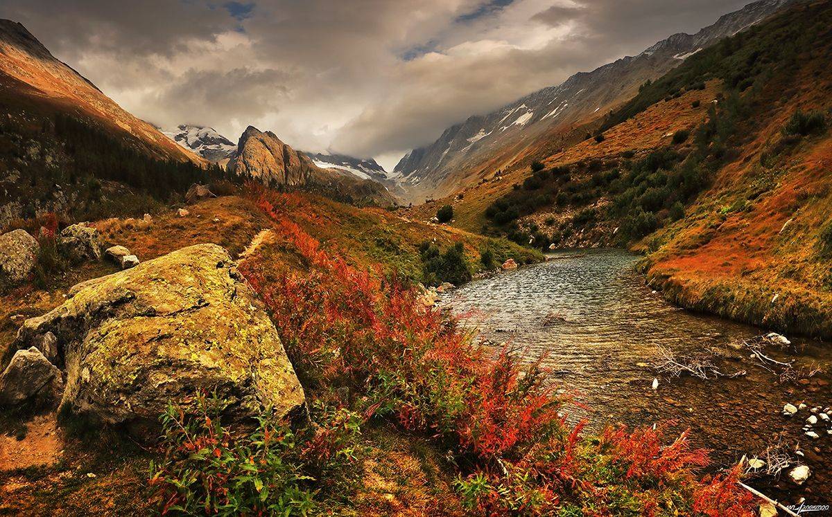 swiss, Матвеев Николай