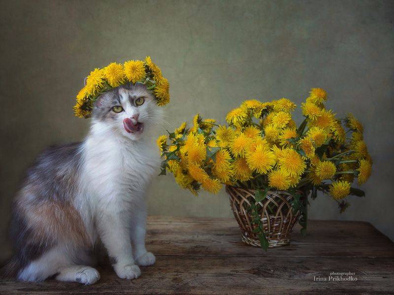 Весняночка фото превью