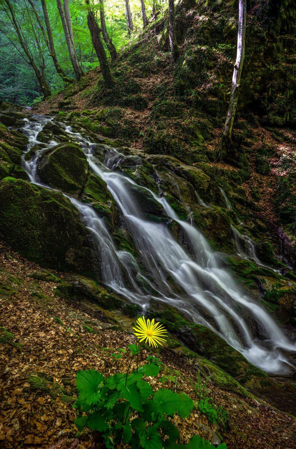 landscape nature vertical hiking, viktor demidov