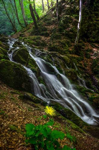 Under the spray of the waterfall - Teteven ?