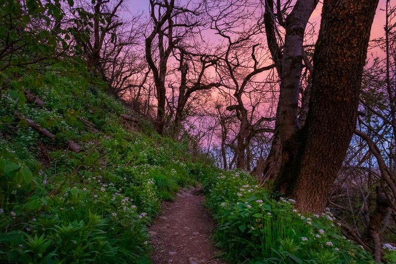 вечером на Бештау фото превью