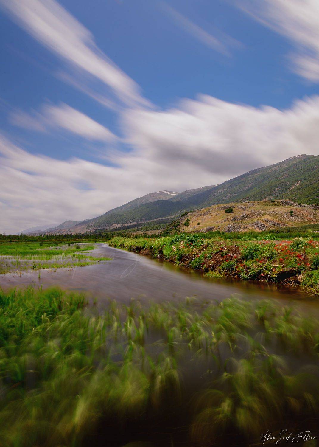 nature, naturephotography, healing, happy, colorful, alaaseifeddinephotography, Alaa Seif Eddine