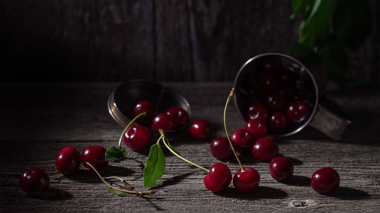 , Елена Зимацкая