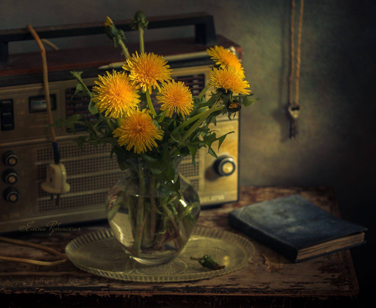 , Елена Рубинская