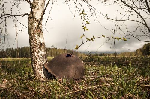 Никто не забыт и ничто не забыто...