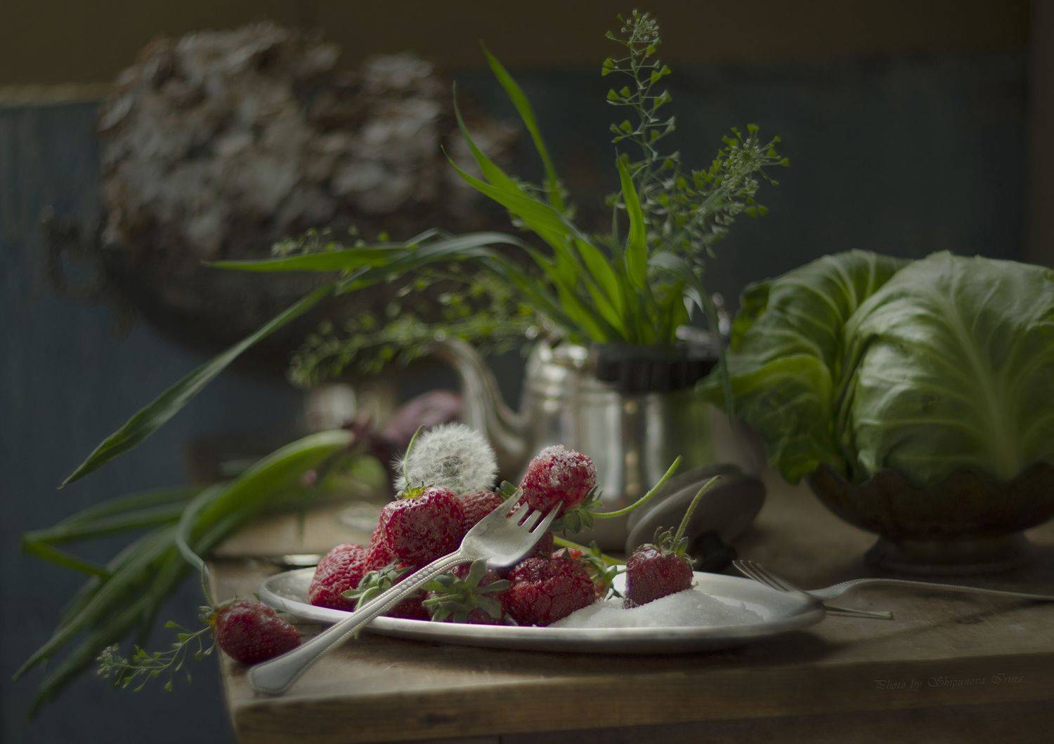 , Шипунова Ирина