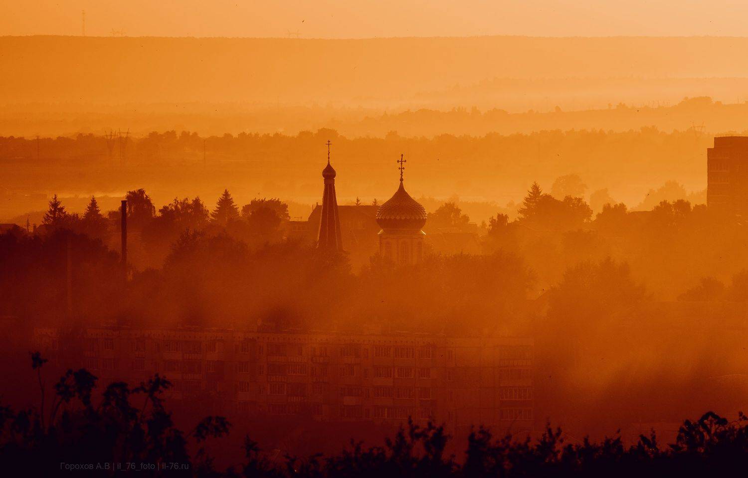 , Алексей Горохов
