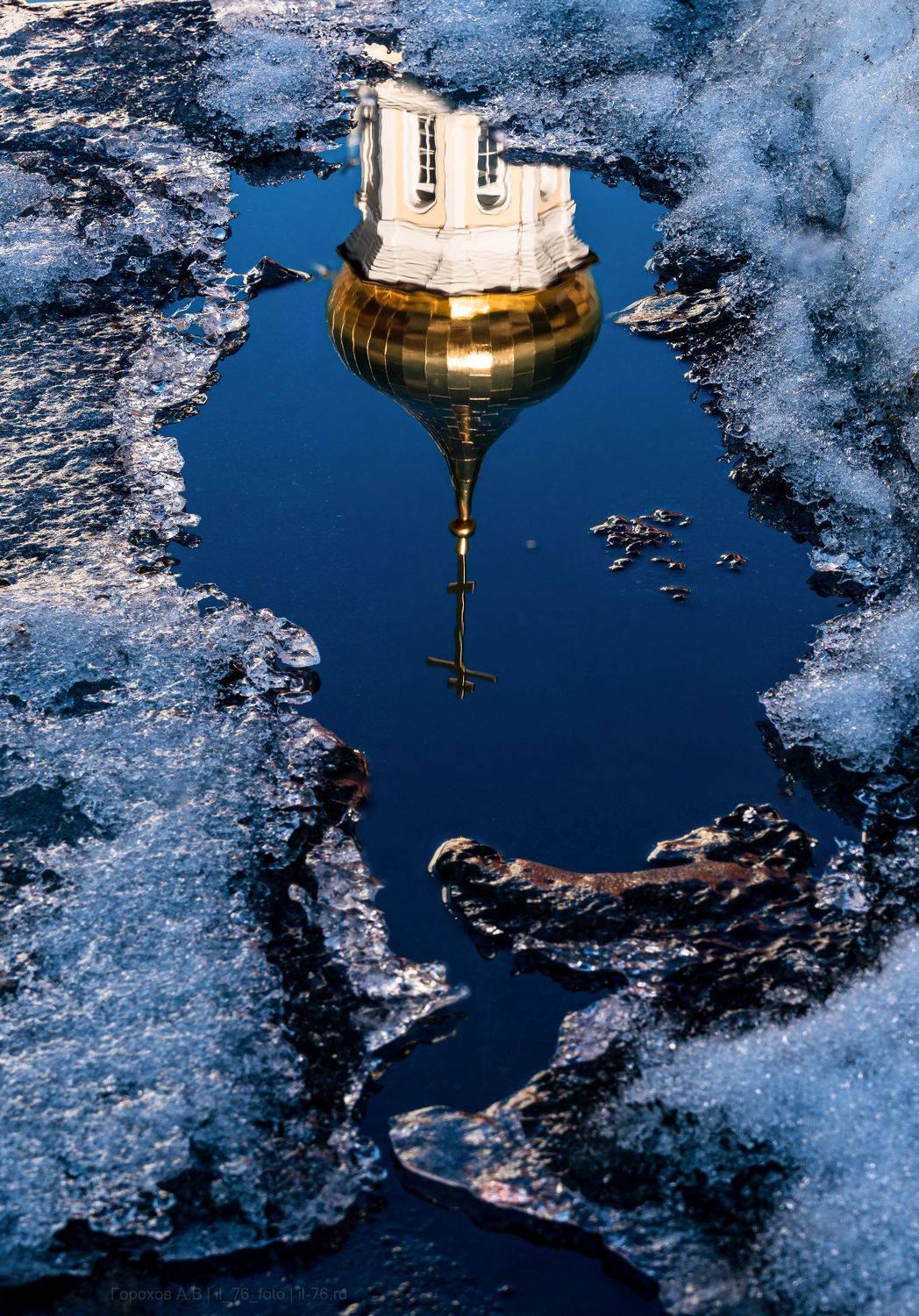 , Алексей Горохов