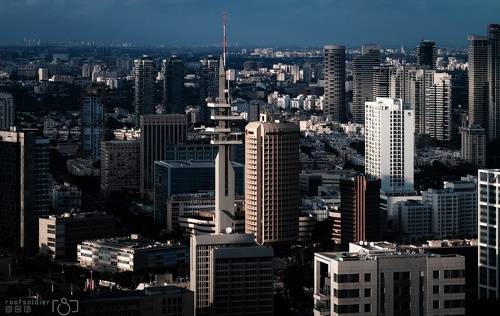Tel Aviv Jungle