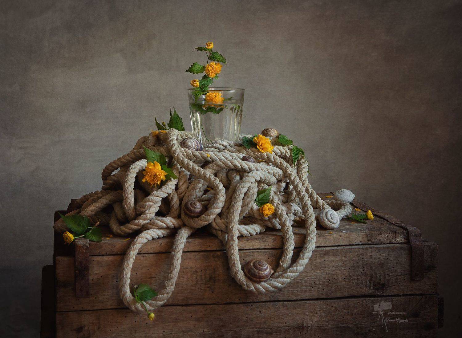 , Инна Сухова