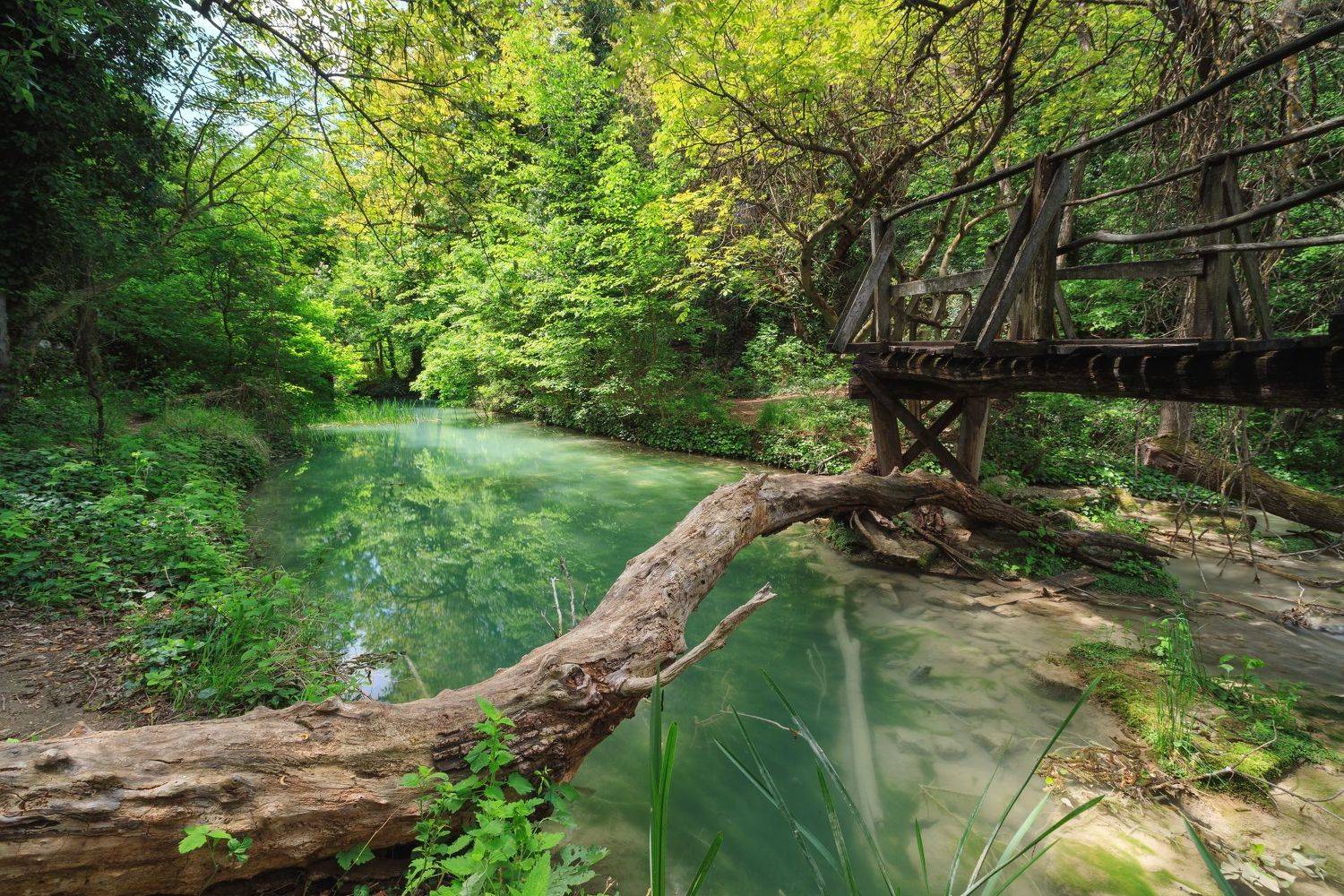 , Александър Сандев