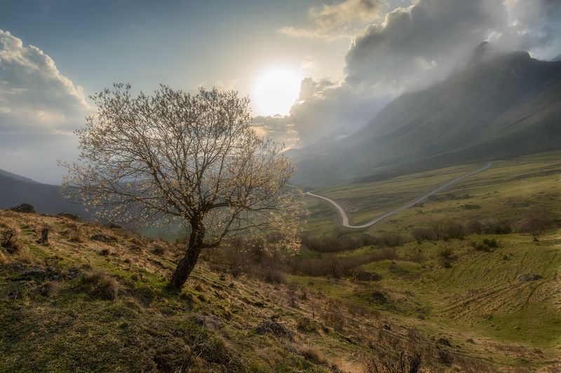 Цэй-Лоам фото превью