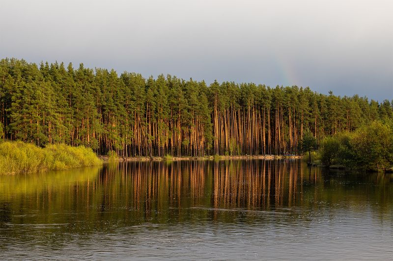 рязанская область, река пра После дождя фото превью