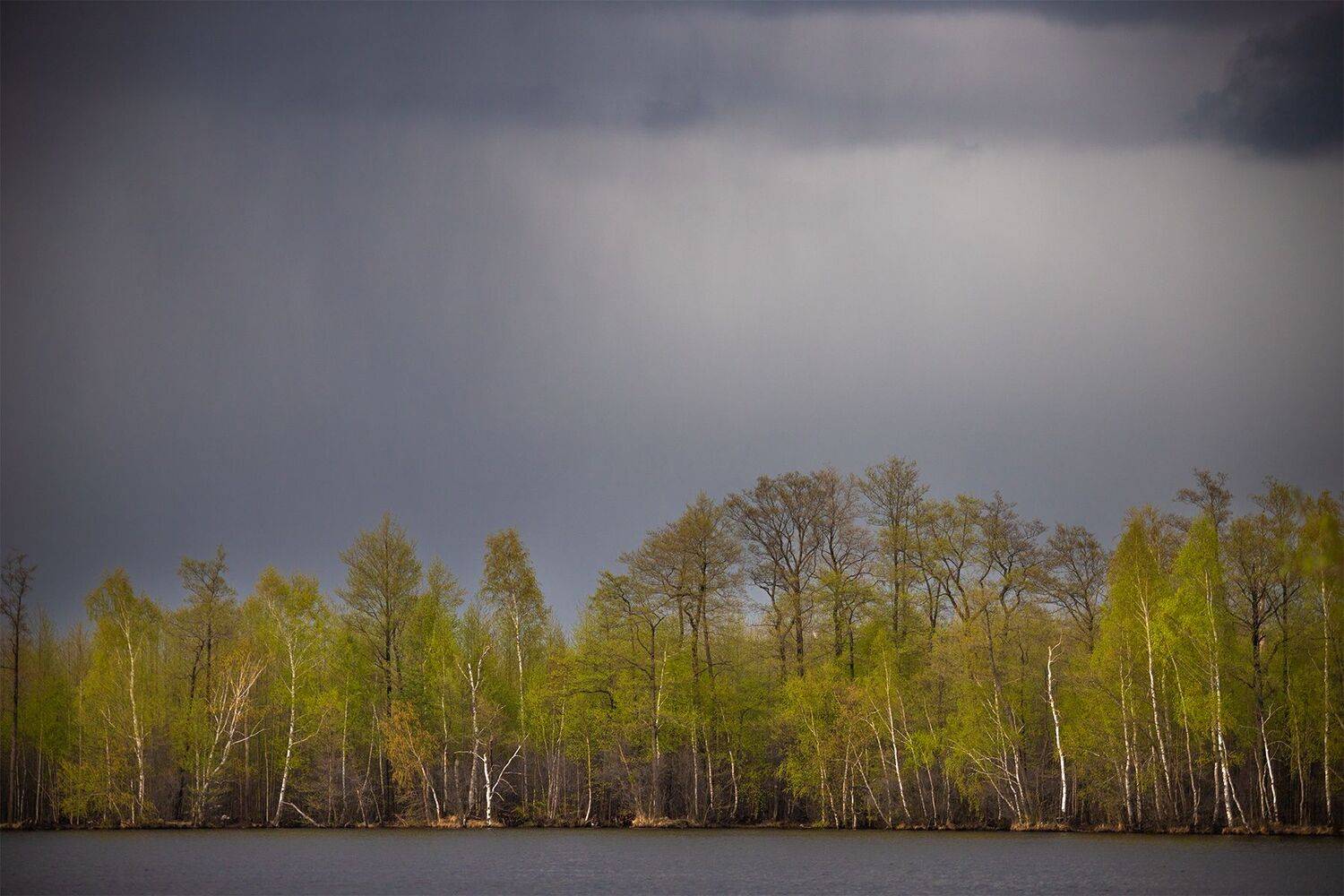 , Чудинин Дмитрий