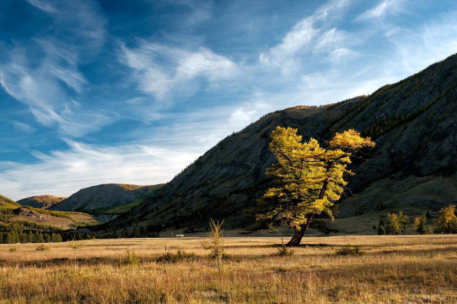 тыва, тува, горы, кара-холь, осень, fujifilm, Леонтьев Константин