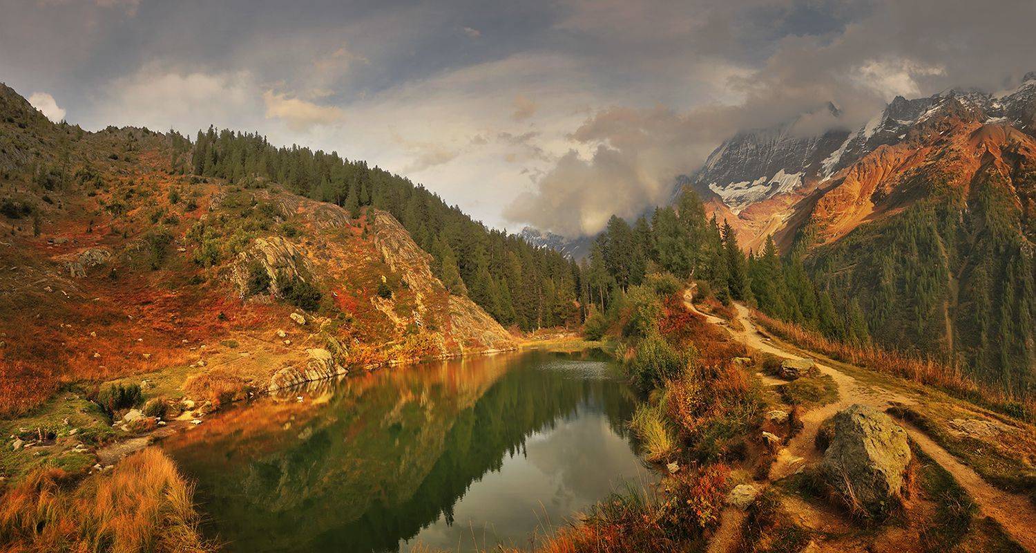 swiss, Матвеев Николай
