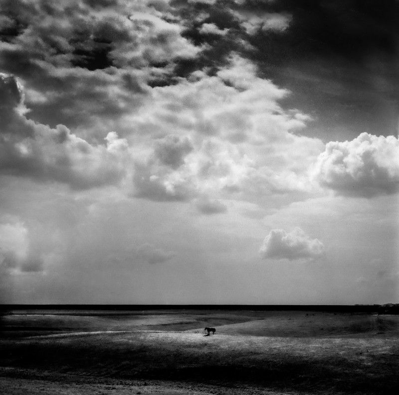 Полдень фото превью