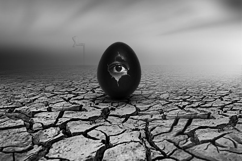 The Drought фото превью
