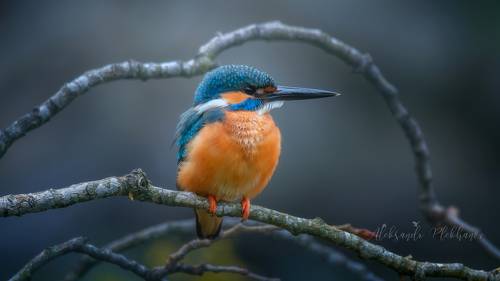 Крашенка - пасхальное яичко