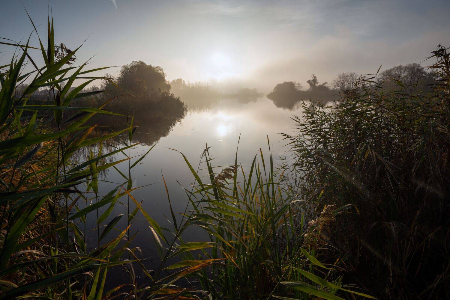 закат, Алексей Рыльский