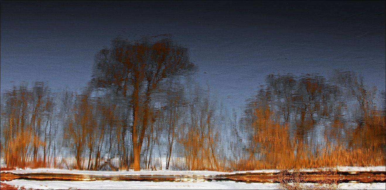 звенигород, Тарасов Алексей