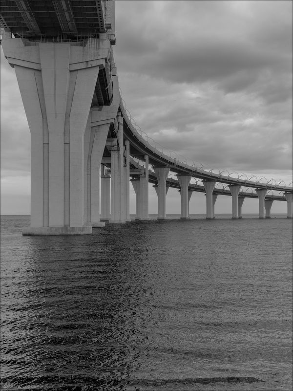 ЗСД СПБ фото превью