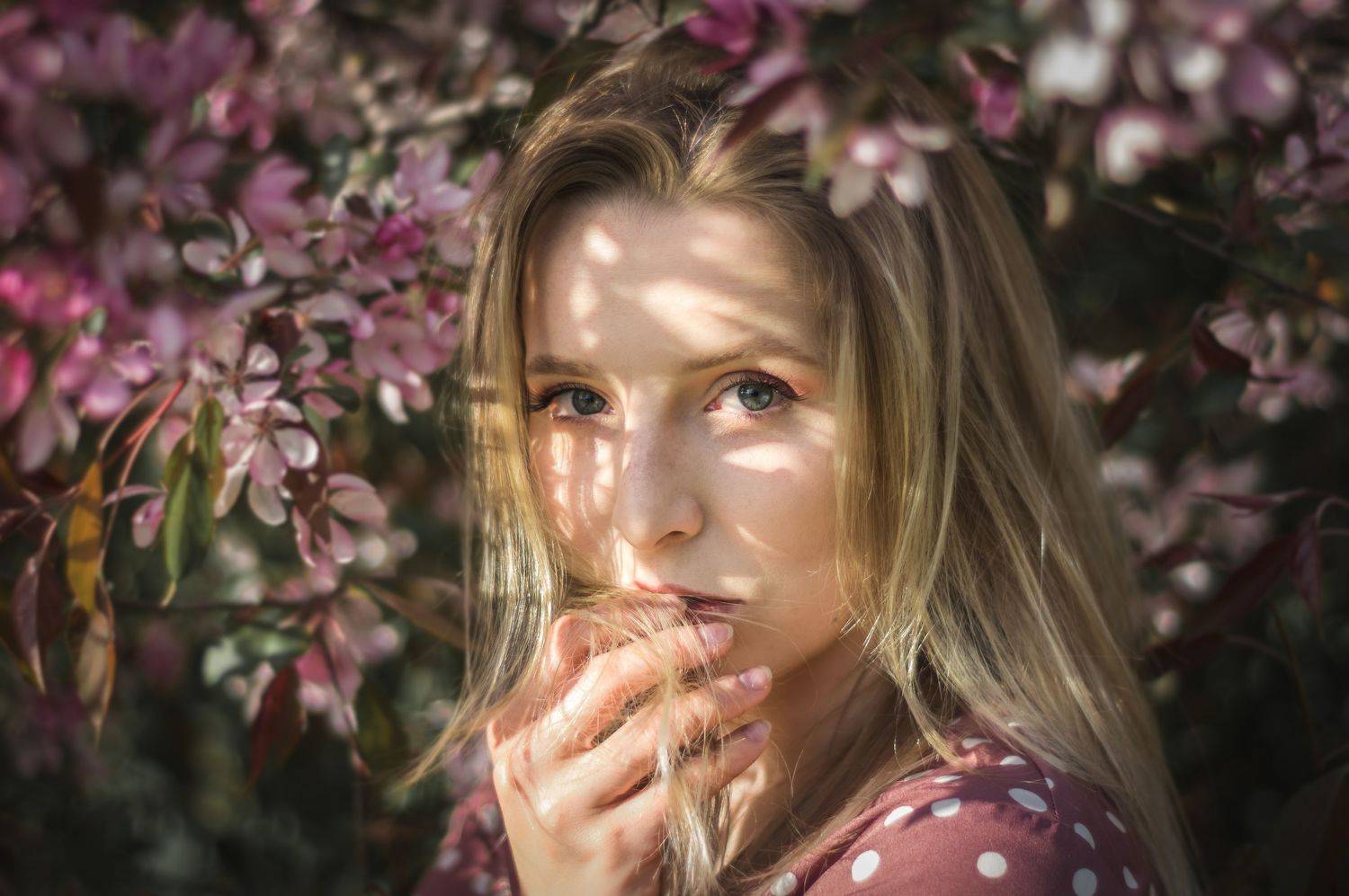 , Maciej Werbliński