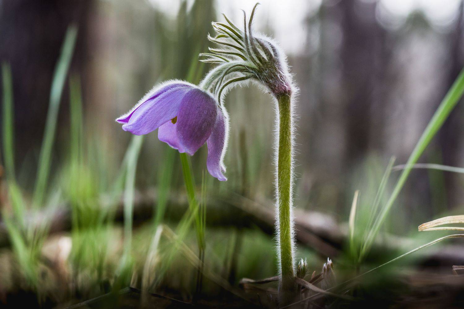 , Роман Зайцев