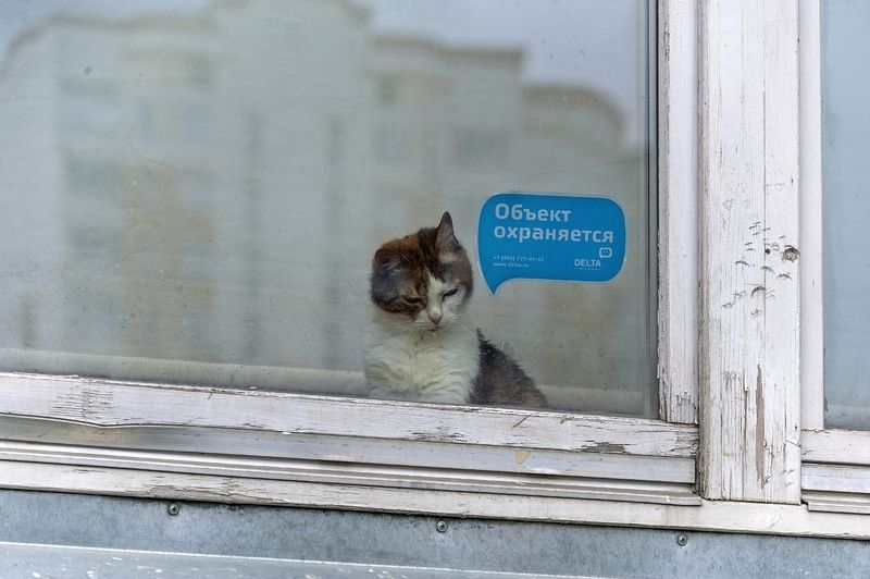 Охрана фото превью