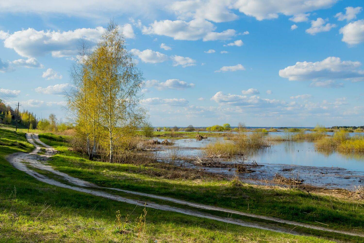 весна, май, пейзаж, разлив , Юрий Морозов