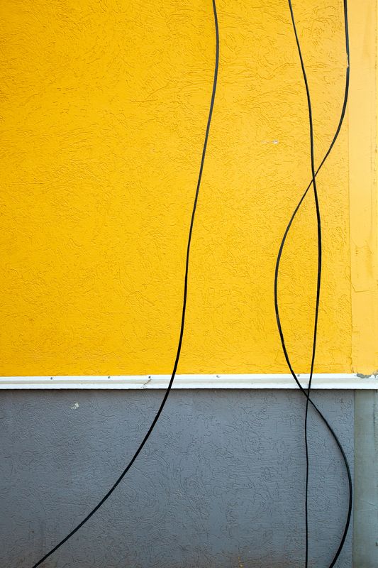 Мелодия фото превью