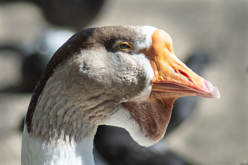 Профиль фото превью