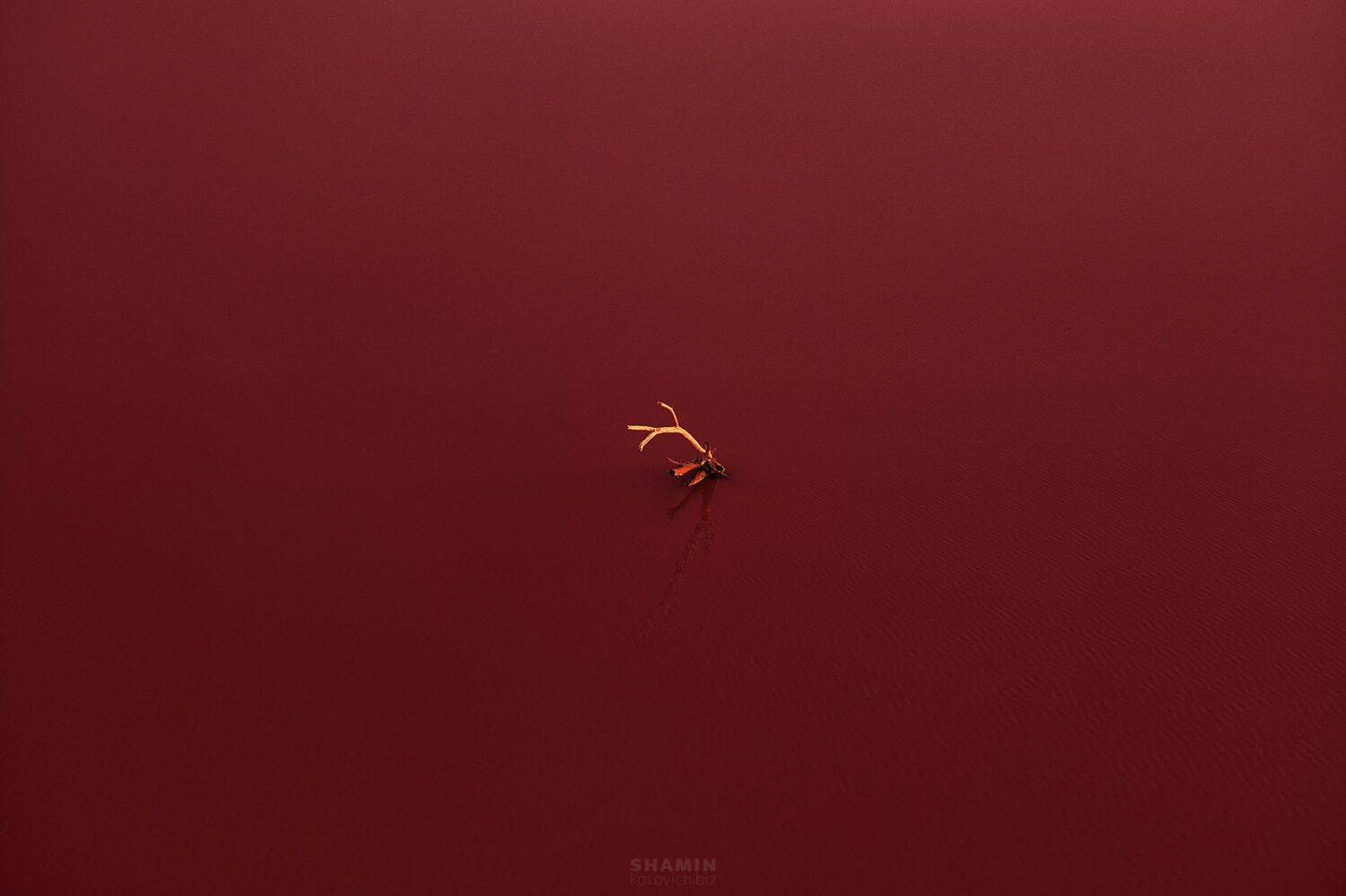 , Константин Шамин