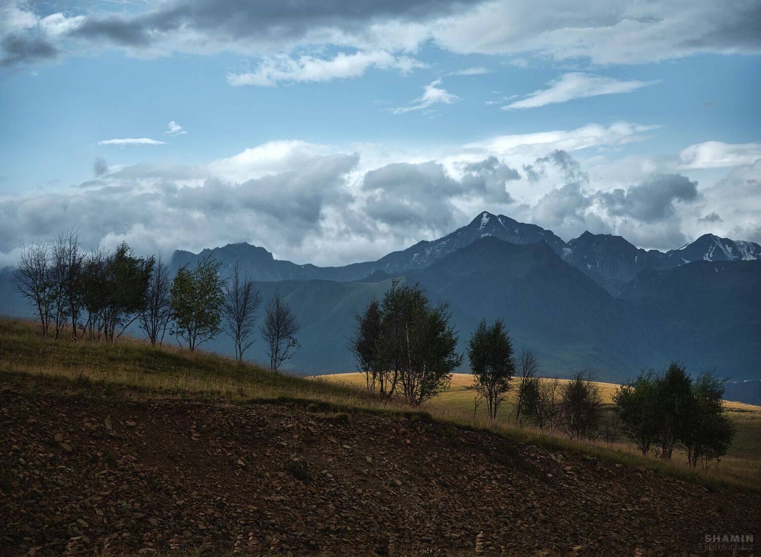 , Константин Шамин