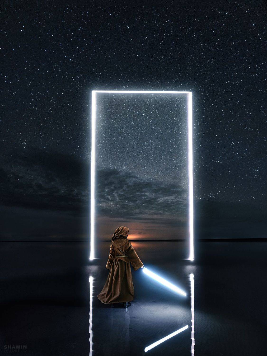 , Константин Шамин