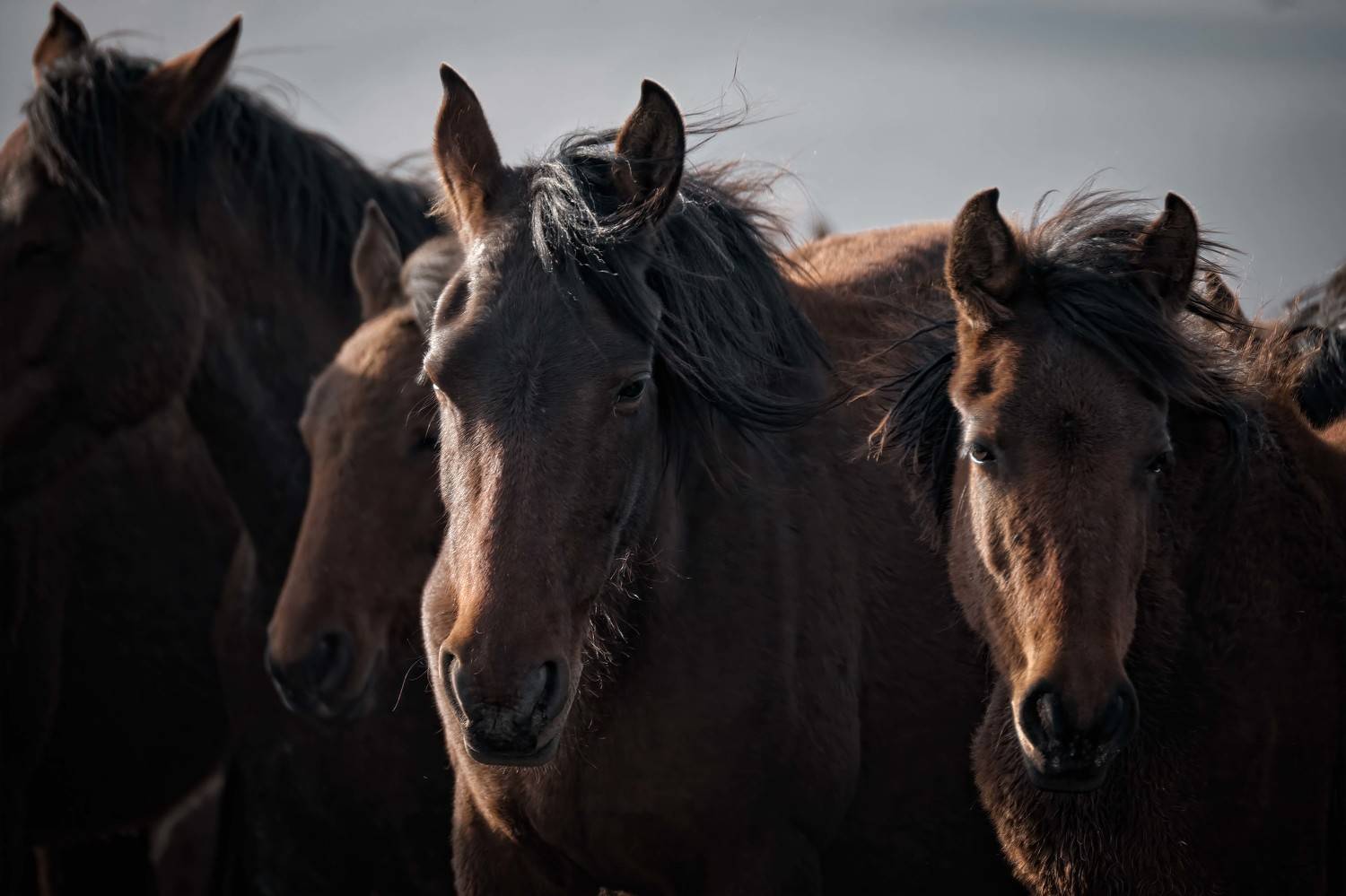 , Андрей Лабутин