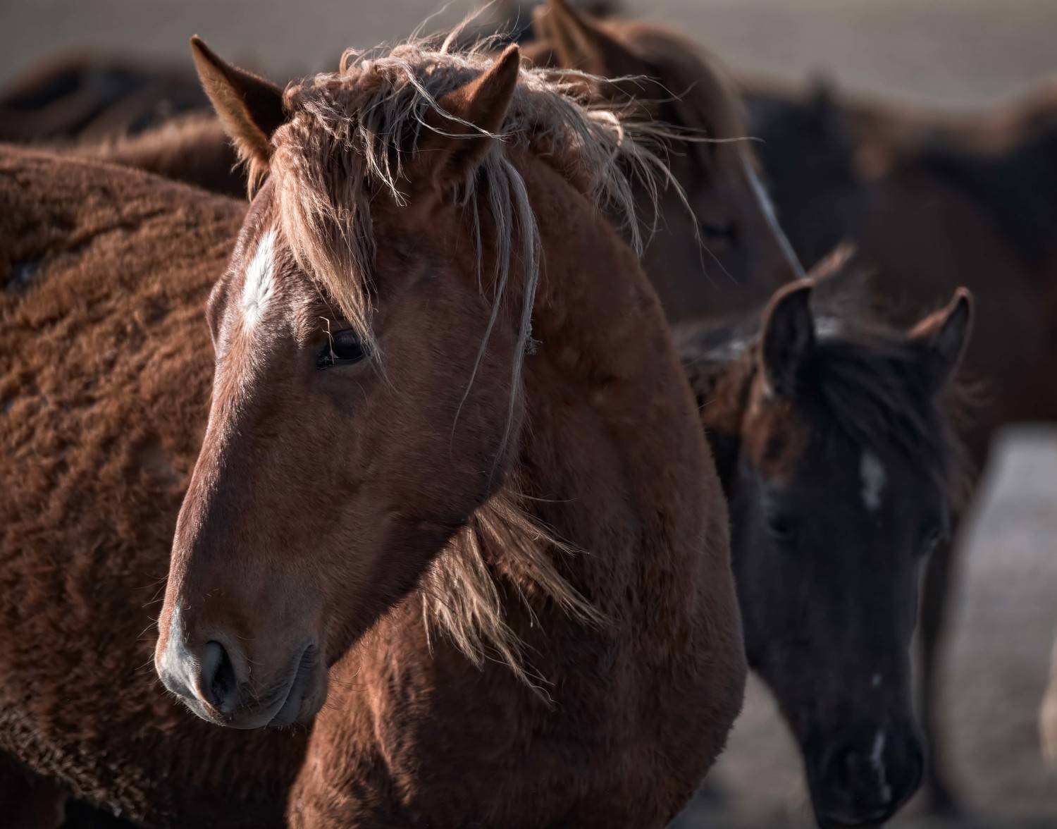 , Андрей Лабутин