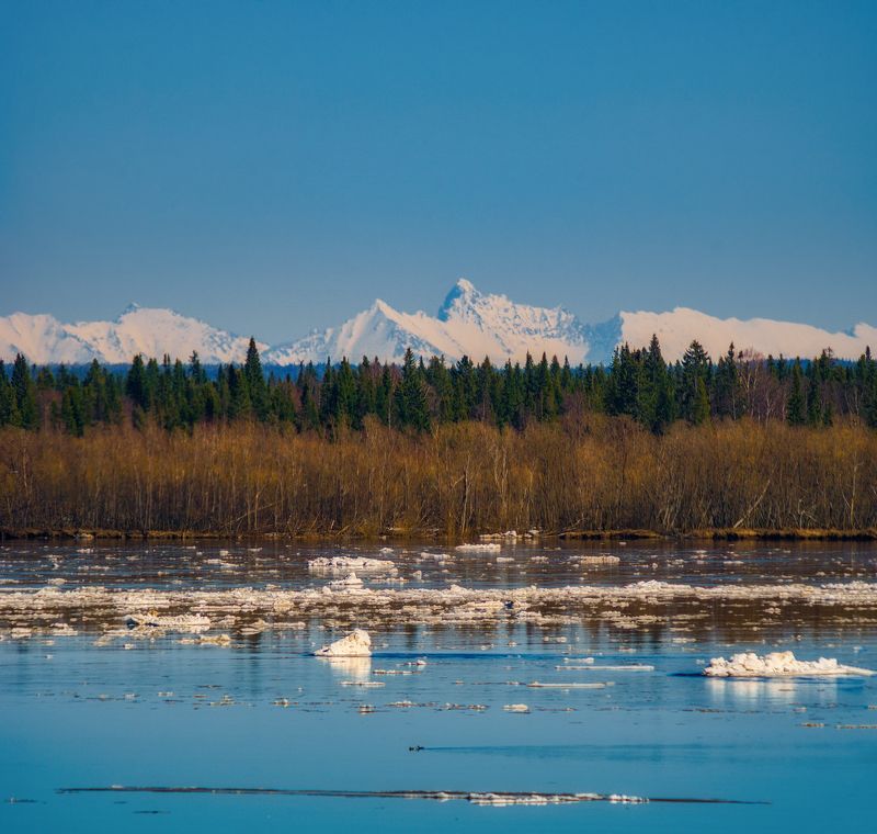 печора, приполярный урал, коми Ледоход на р. Печора фото превью