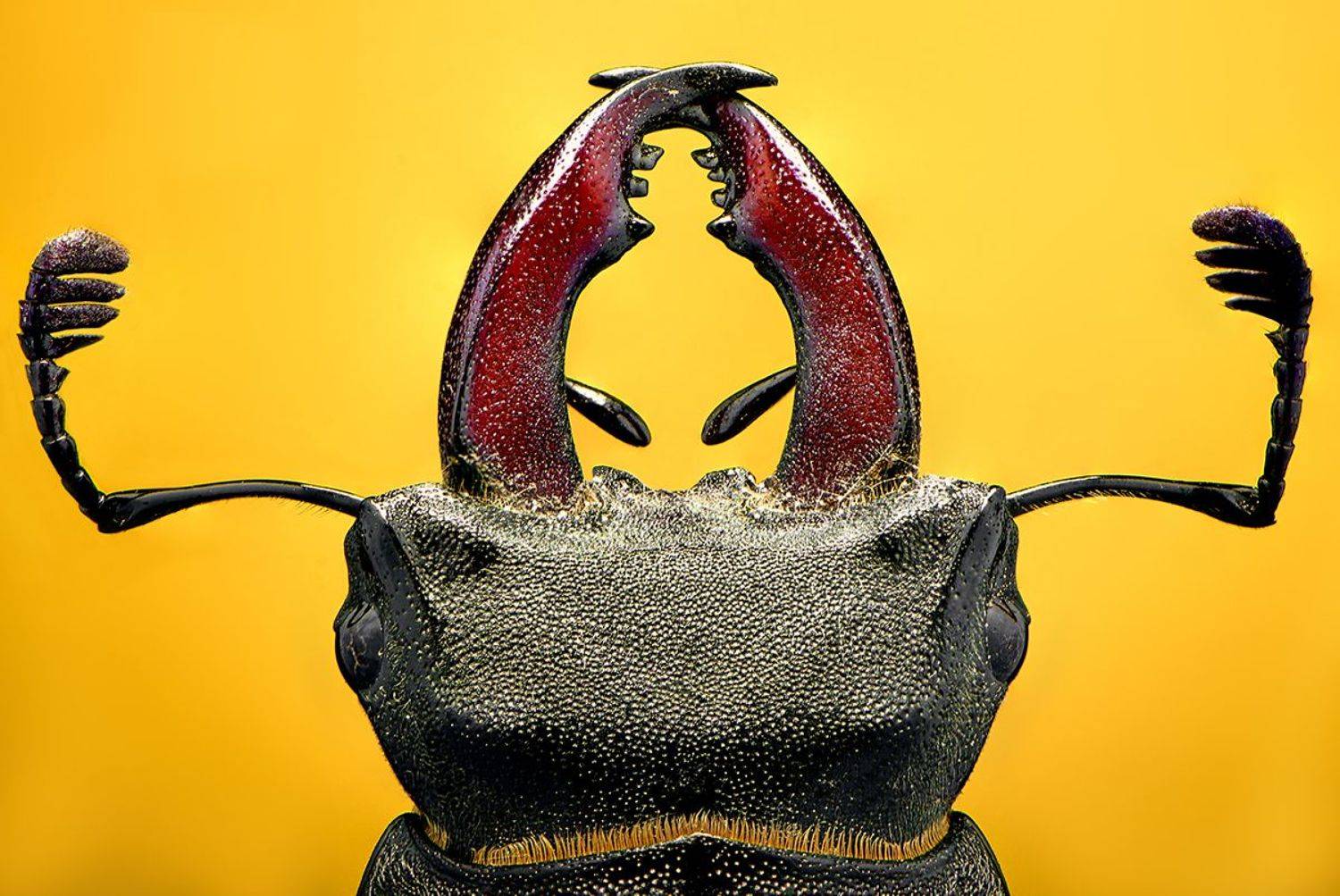 , Масленников Сергей