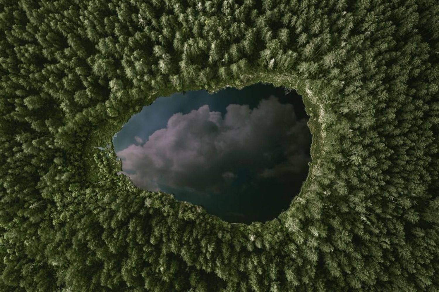 , Разум Митя