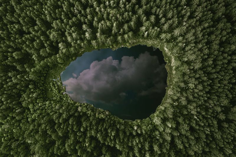 Озеро в лесу фото превью