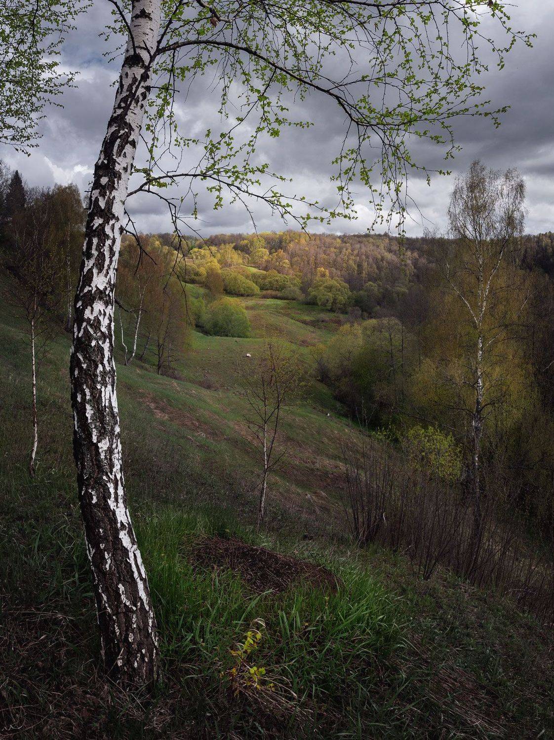 , Баранов Олег