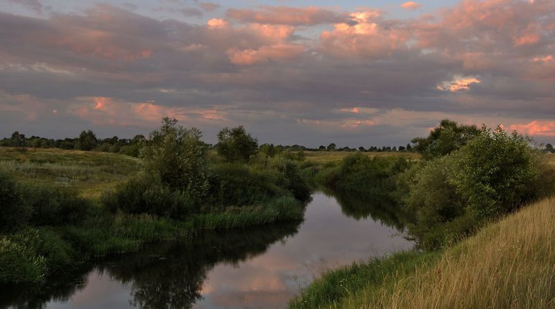 Запах полыни... фото превью