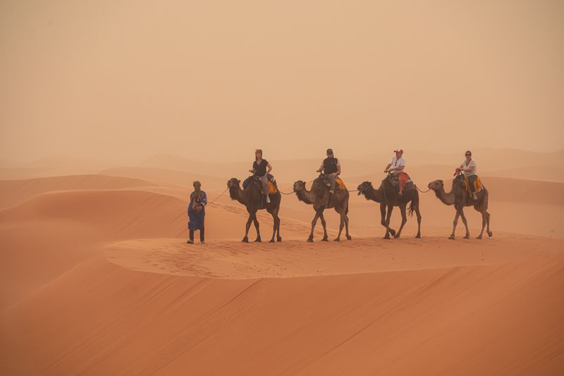 Sandstorm фото превью