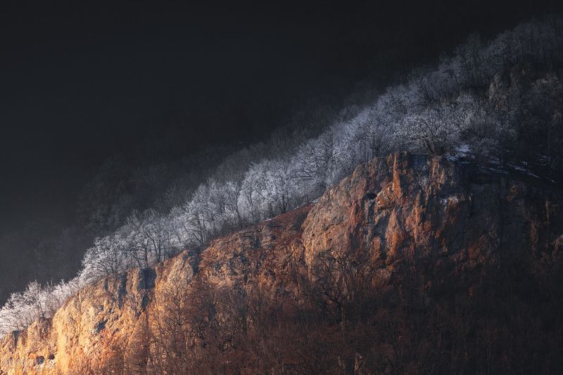 зима, крым, иней, свет Свет и тьма фото превью